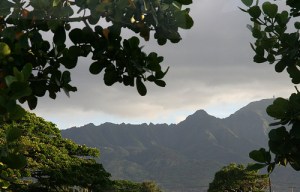 Pretty view from the bus! Image by TheGirlsNY. Retrieved from FlickR. Used under Creative Commons Licensing.